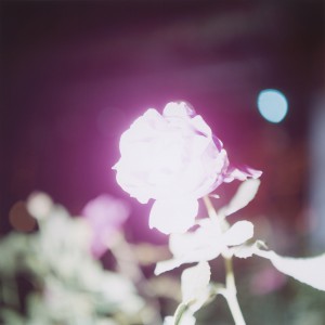 illuminance rinko kawauchi