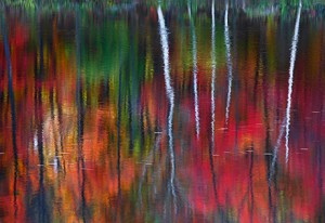 one-Peter Lik