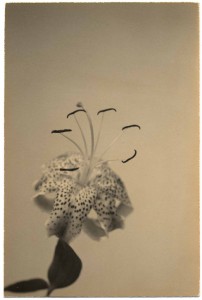 Masao Yamamoto_2