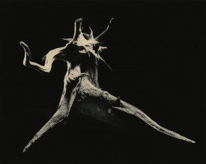 Masao Yamamoto_3