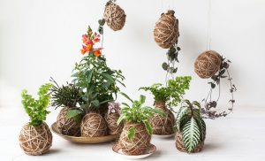 Kokedama: i giardini sospesi