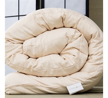 Futon