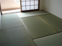 Set 6/8 Tatami ribassati 100x200cm (3x4 o 4x4 metri) alti 2,5 cm