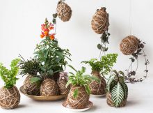 Kokedama: i giardini sospesi