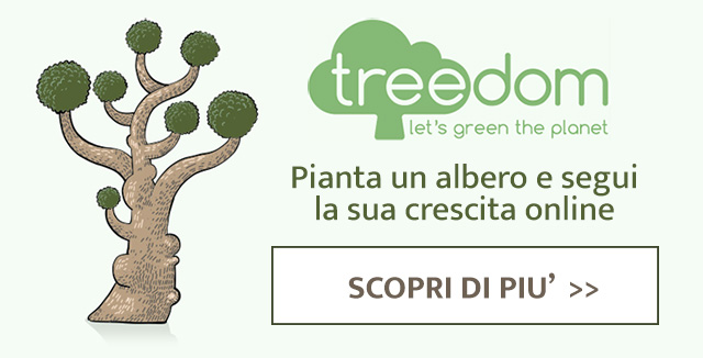 La foresta Treedom